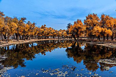 《DUCKSIDE》6月6日Steam公开测试 开放世界PvPvE射击